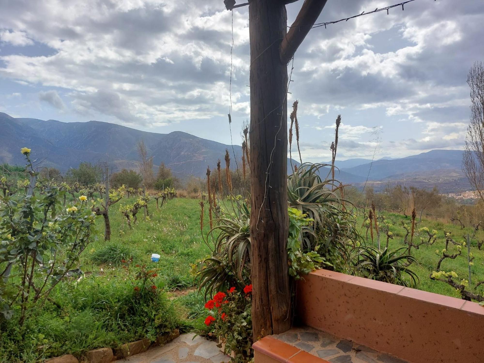 Cortijo El Cerrillo Guest House - Granada — Photos 1